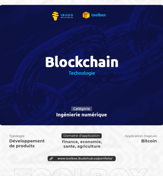 Cette image est relative à la blockch